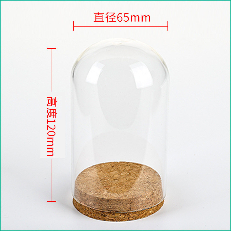 36pcs D65XH120mm แก้วใส Cloche - Wedding Zoo บทวิจารณ์และราคา