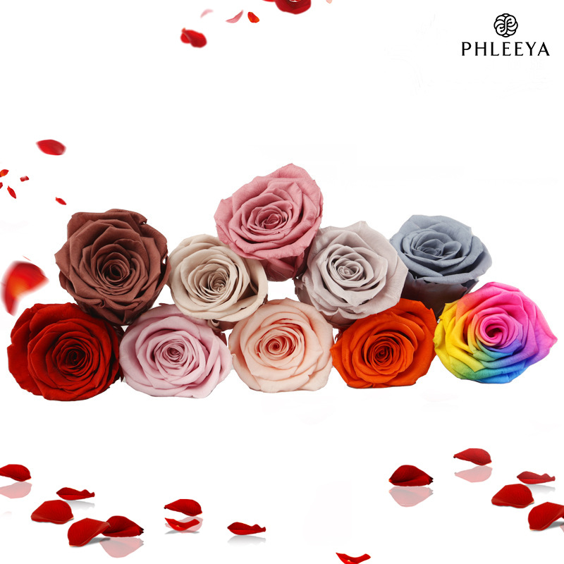 6 ชิ้น Eternal Rose ดอกไม้หัวข - Wedding Supply In Bulk บทวิจารณ์และราคา